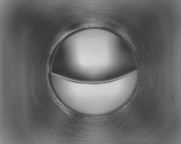 X0000068301179200604211003