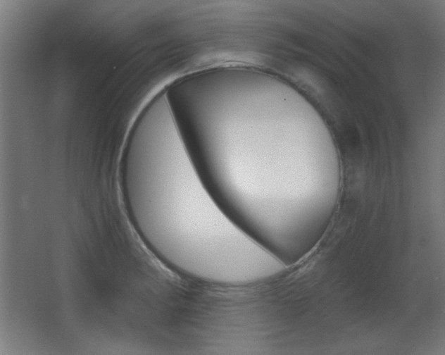 X0000068301182200604211003