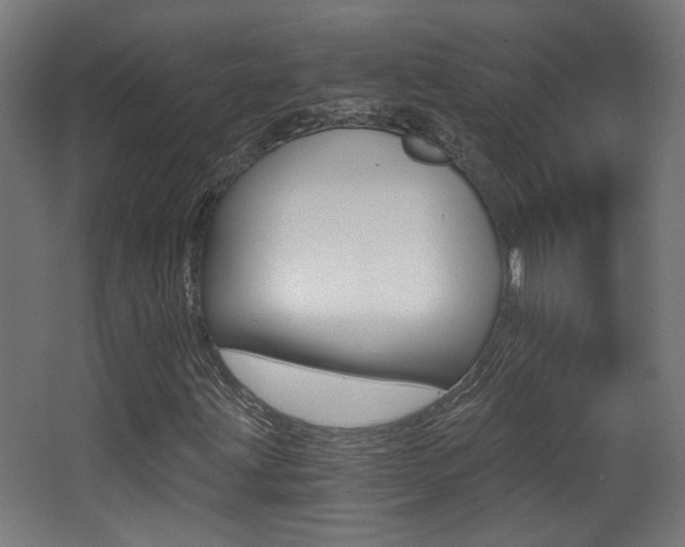 X0000068301203200604211002