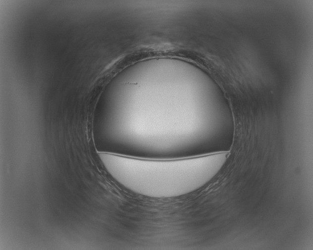 X0000068301205200604211002