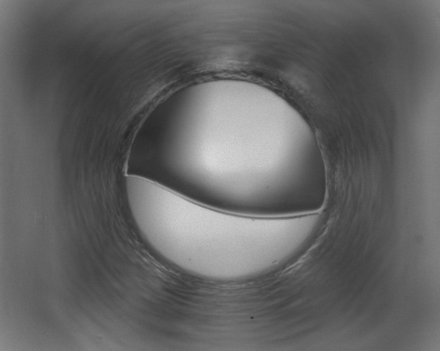 X0000068301209200604211002
