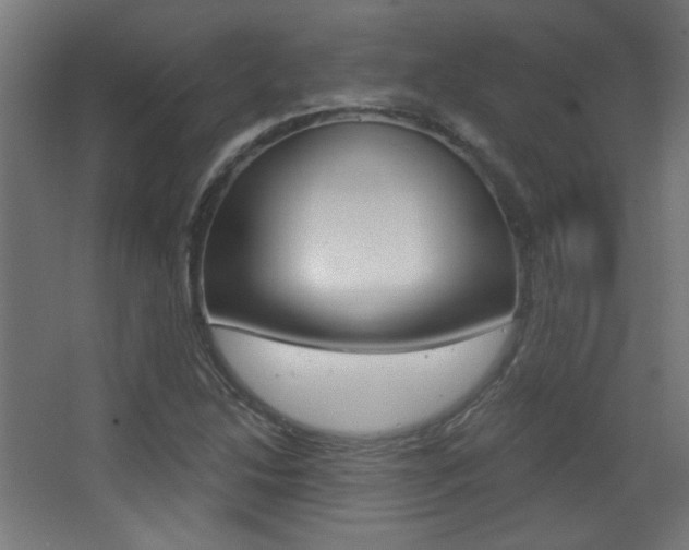 X0000068301214200604211002