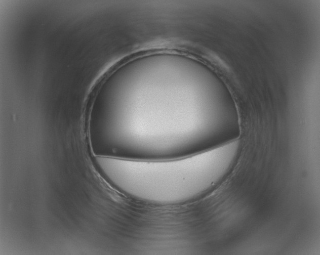 X0000068301216200604211002