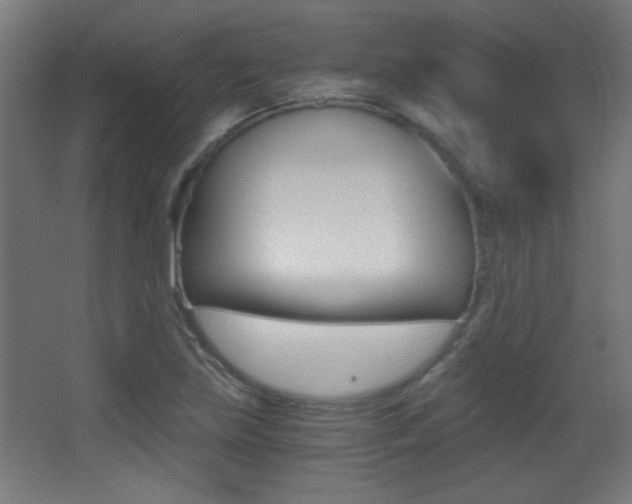 X0000068301219200604211002
