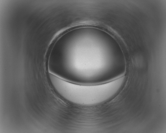 X0000068301222200604211002