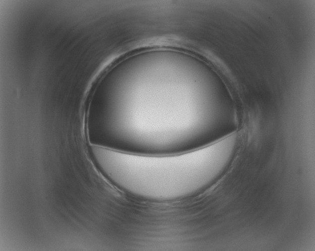 X0000068301224200604211002
