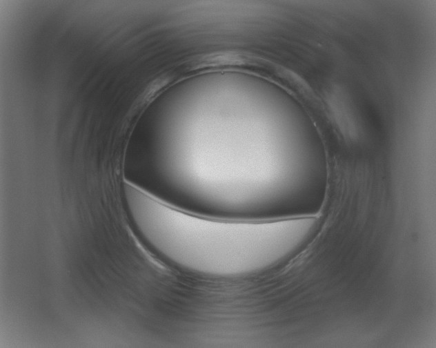 X0000068301225200604211002