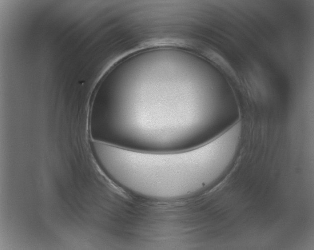 X0000068301228200604211002