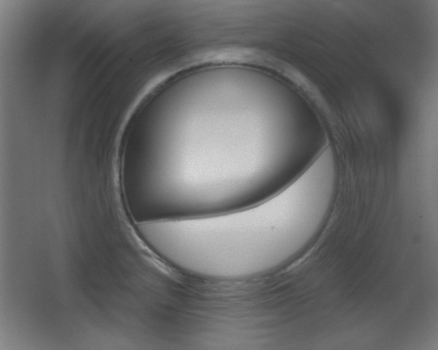 X0000068301232200604211002
