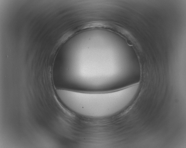 X0000068301233200604211002