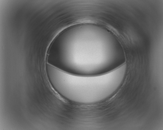 X0000068301236200604211002
