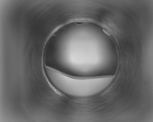 X0000068301237200604211002