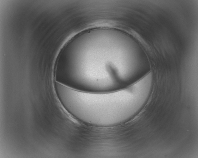 X0000068301240200604211002