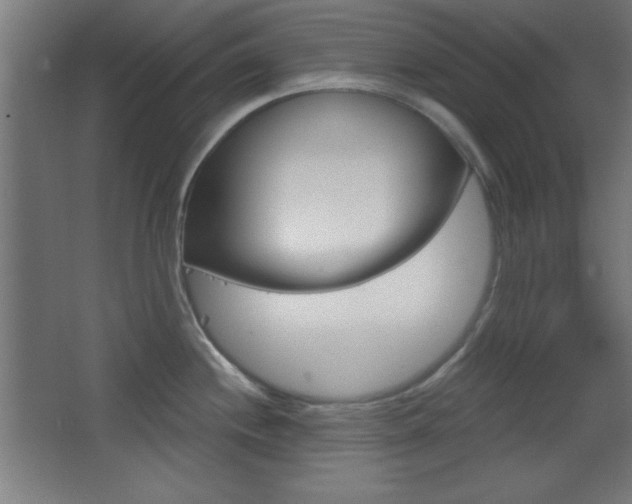 X0000068301244200604211002