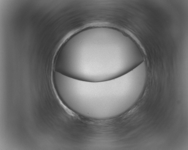 X0000068301245200604211002