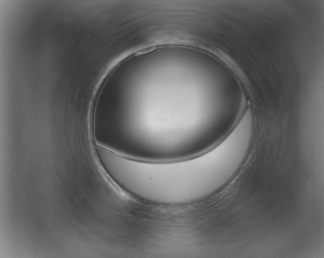 X0000068301246200604211002
