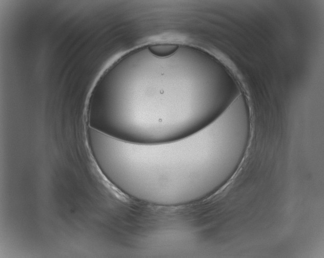 X0000068301248200604211002