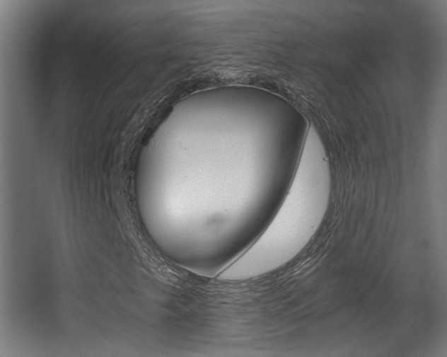 X0000068301249200604211002