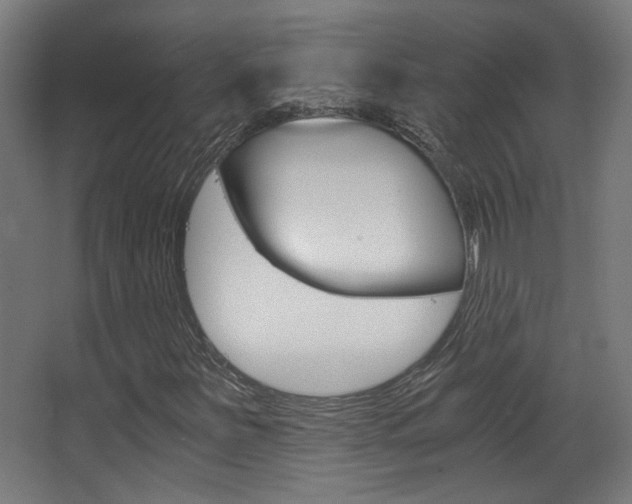 X0000068301251200604211002