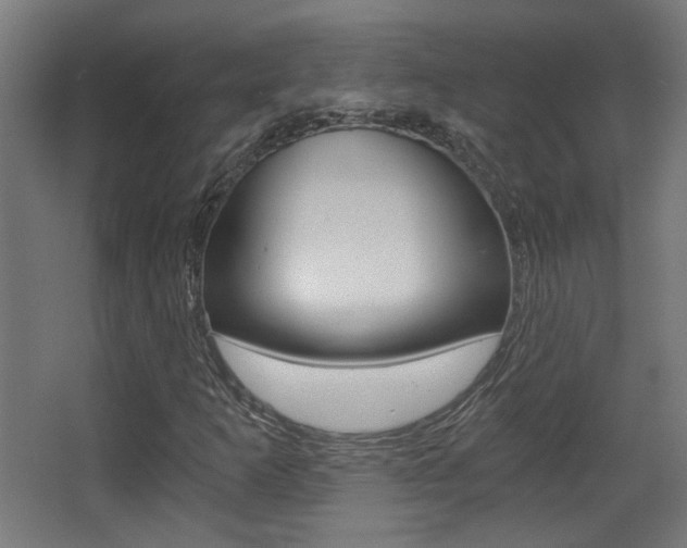 X0000068301253200604211002