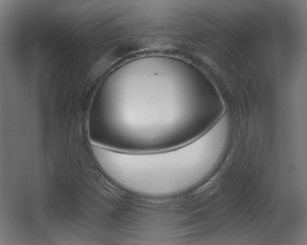 X0000068301257200604211002