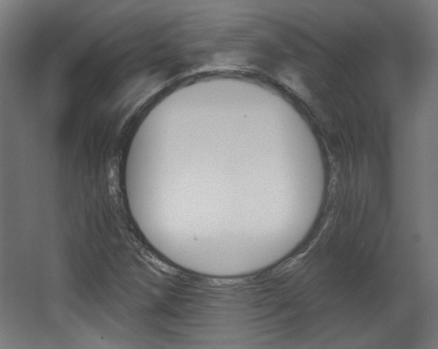 X0000068301258200604211001