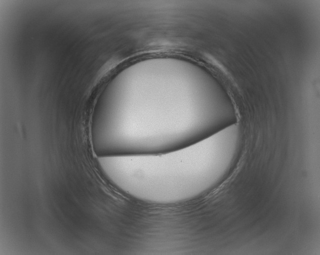 X0000068301259200604211001