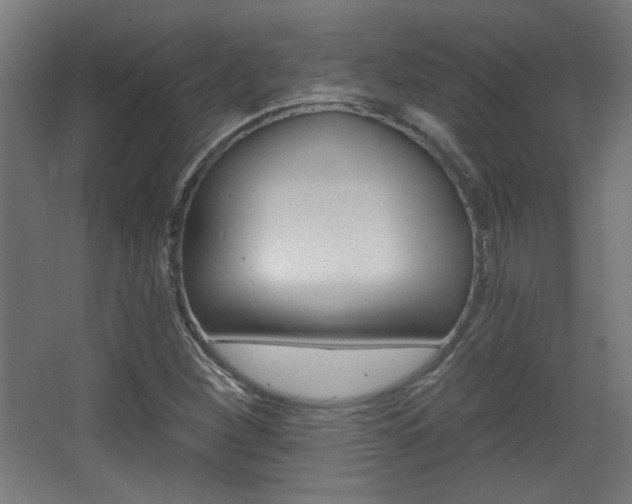 X0000068301260200604211001