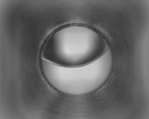 X0000068301264200604211001