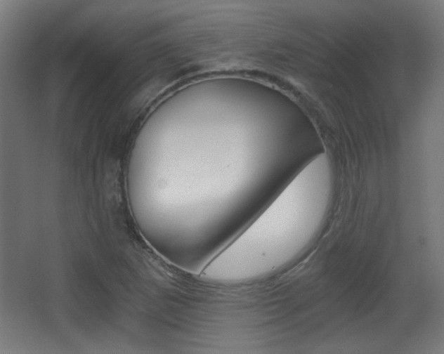 X0000068301265200604211001