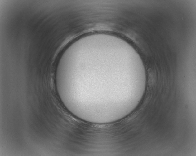 X0000068301266200604211001