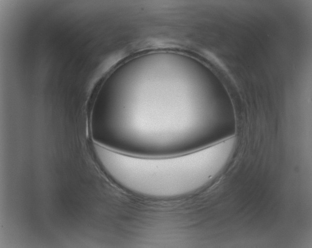 X0000068301269200604211001