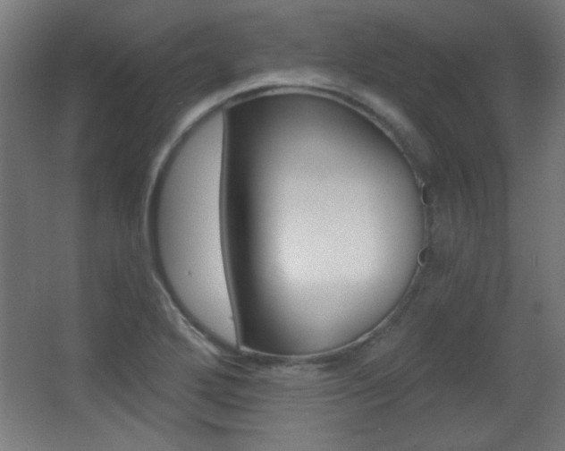 X0000068301272200604211001
