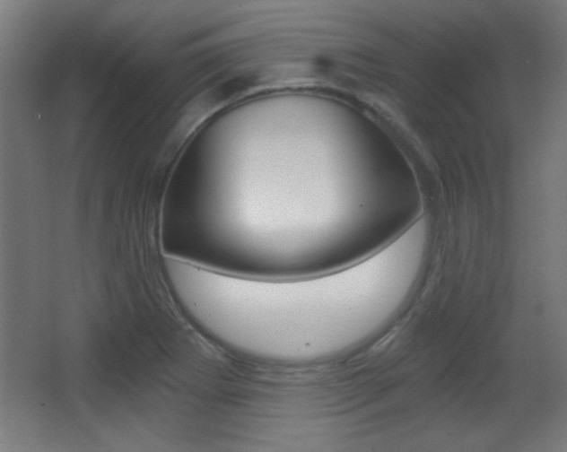 X0000068301273200604211001