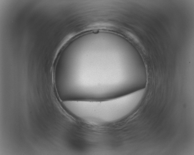 X0000068301275200604211001