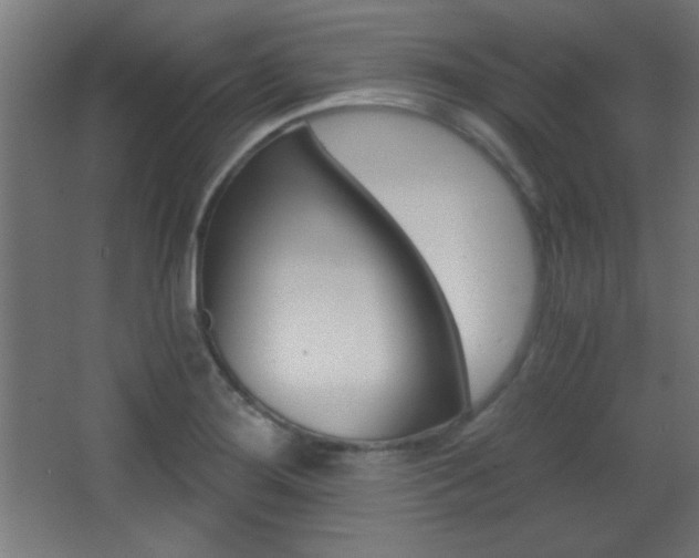 X0000068301276200604211001