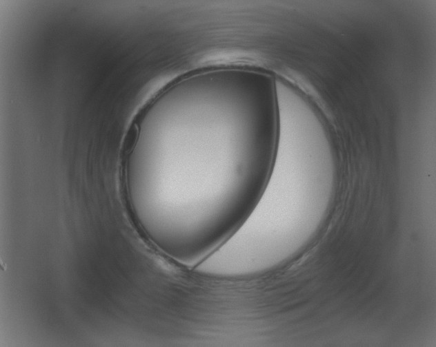 X0000068301277200604211001