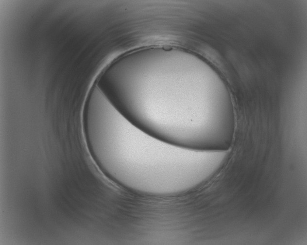 X0000068301283200604211001