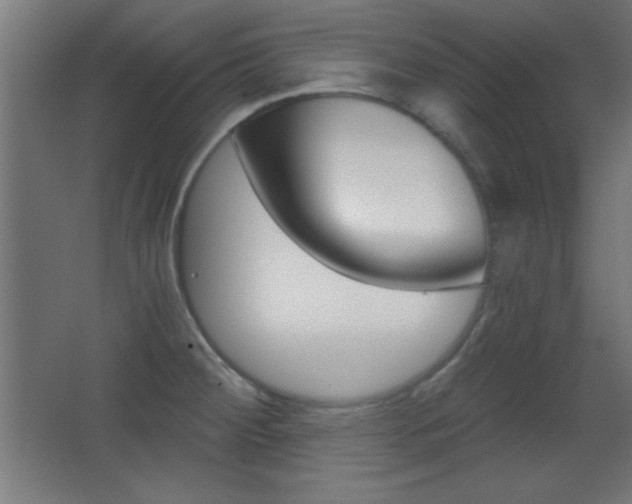X0000068301284200604211001