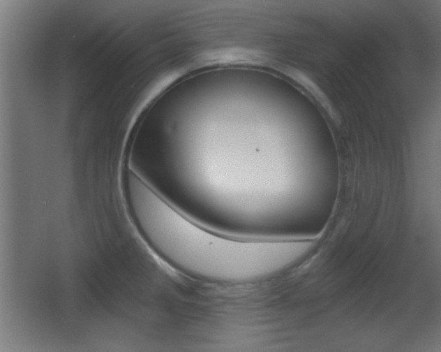 X0000068301285200604211001