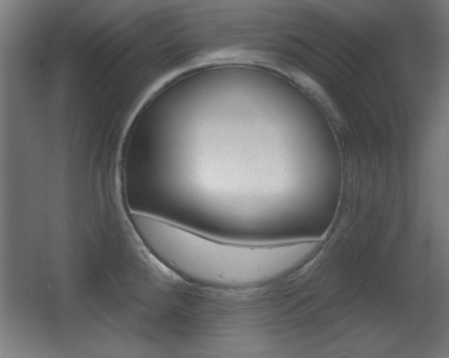 X0000068301288200604211001