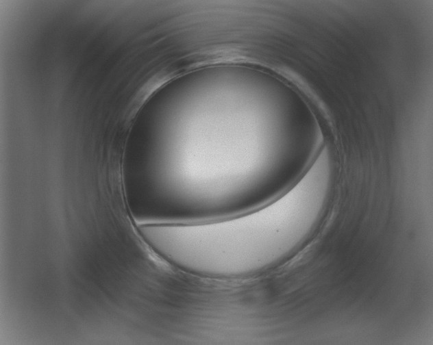 X0000068301289200604211001