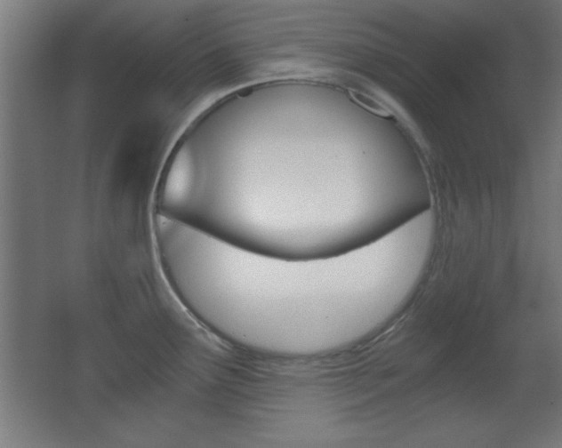 X0000068301291200604211001