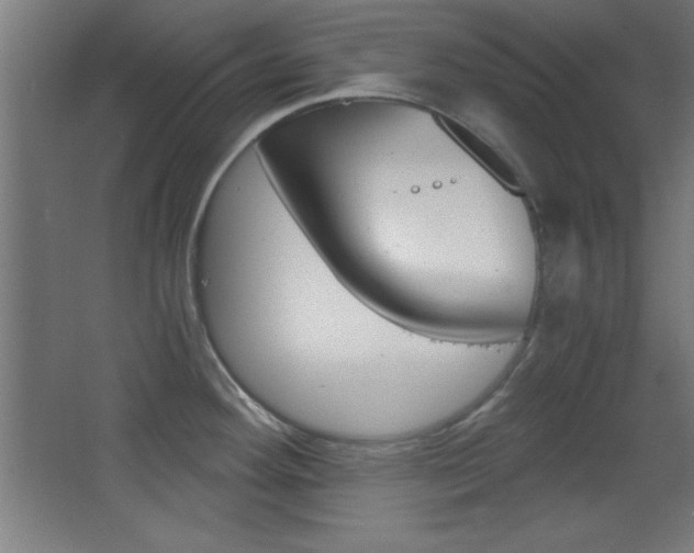 X0000068301292200604211001