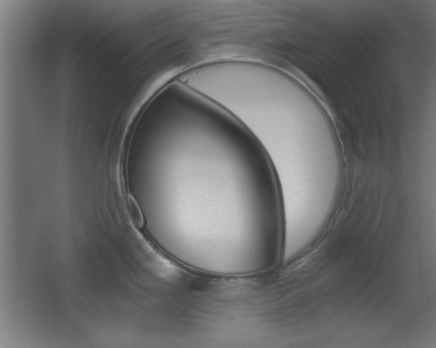 X0000068301293200604211001