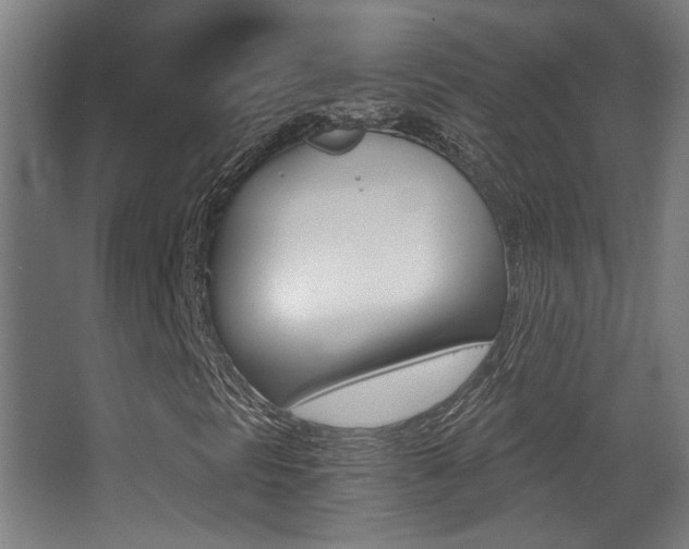 X0000068301297200604211000