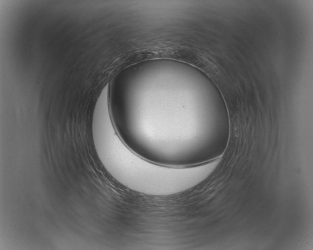 X0000068301298200604211000