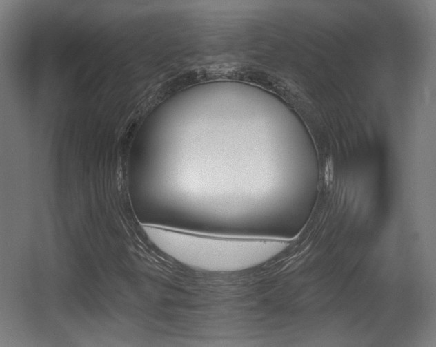 X0000068301299200604211000