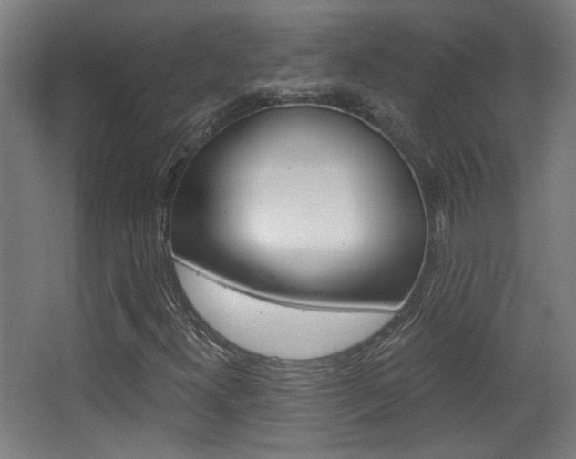 X0000068301300200604211000