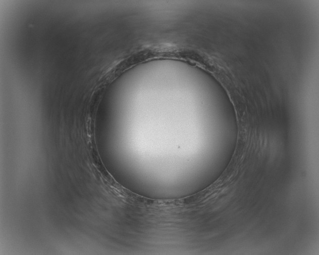 X0000068301301200604211000
